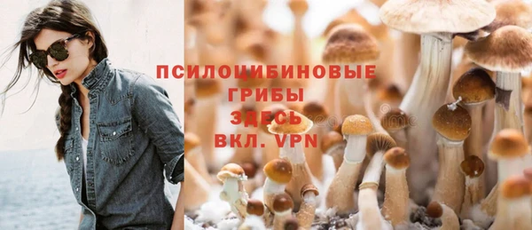 гидропоника Вязники